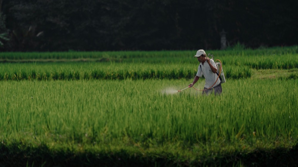 Outdoor pest-control treatment being applied across vegetation